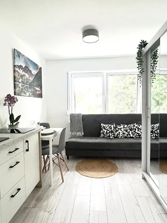 Apartament Goplanska Free Parking Self Check-In 24H Poznan Apartment