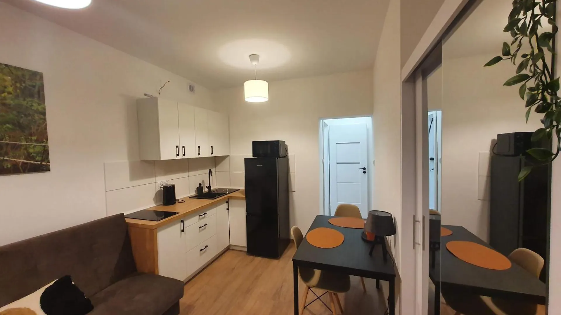 Apartament Goplanska Free Parking Self Check-In 24H Poznan 0*,  Poland